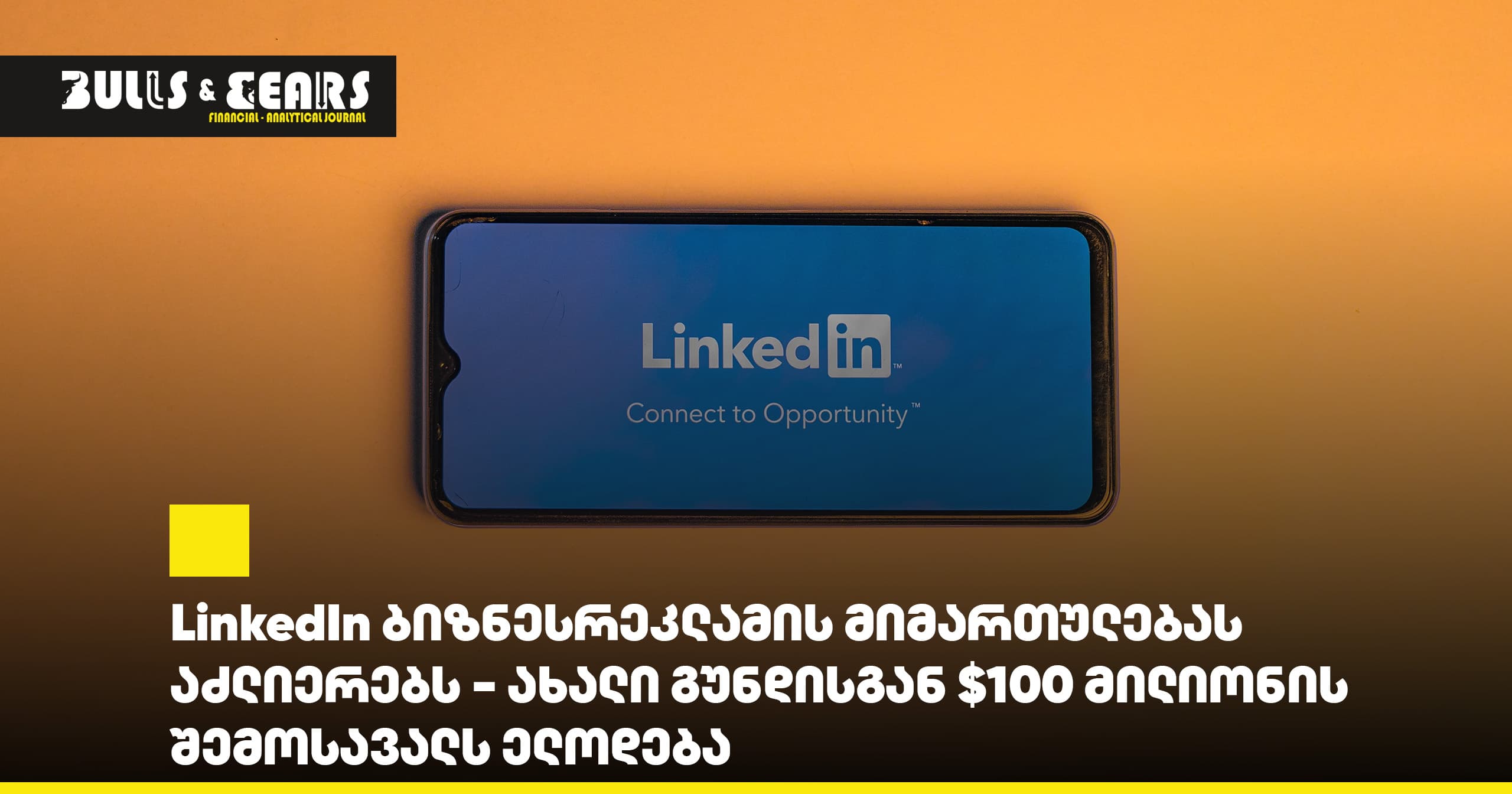 LinkedIn ბიზნესრეკლამის მიმართულებას აძლიერებს - ახალი გუნდისგან $100 მილიონის შემოსავალს ელოდება